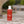 Belebendes und feuchtigkeitsspendendes Duschgel 200ml