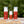 Pflegende Anti-Aging-Pflege 50ml