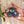 Unsere Bio-Seifen – Reiseformat